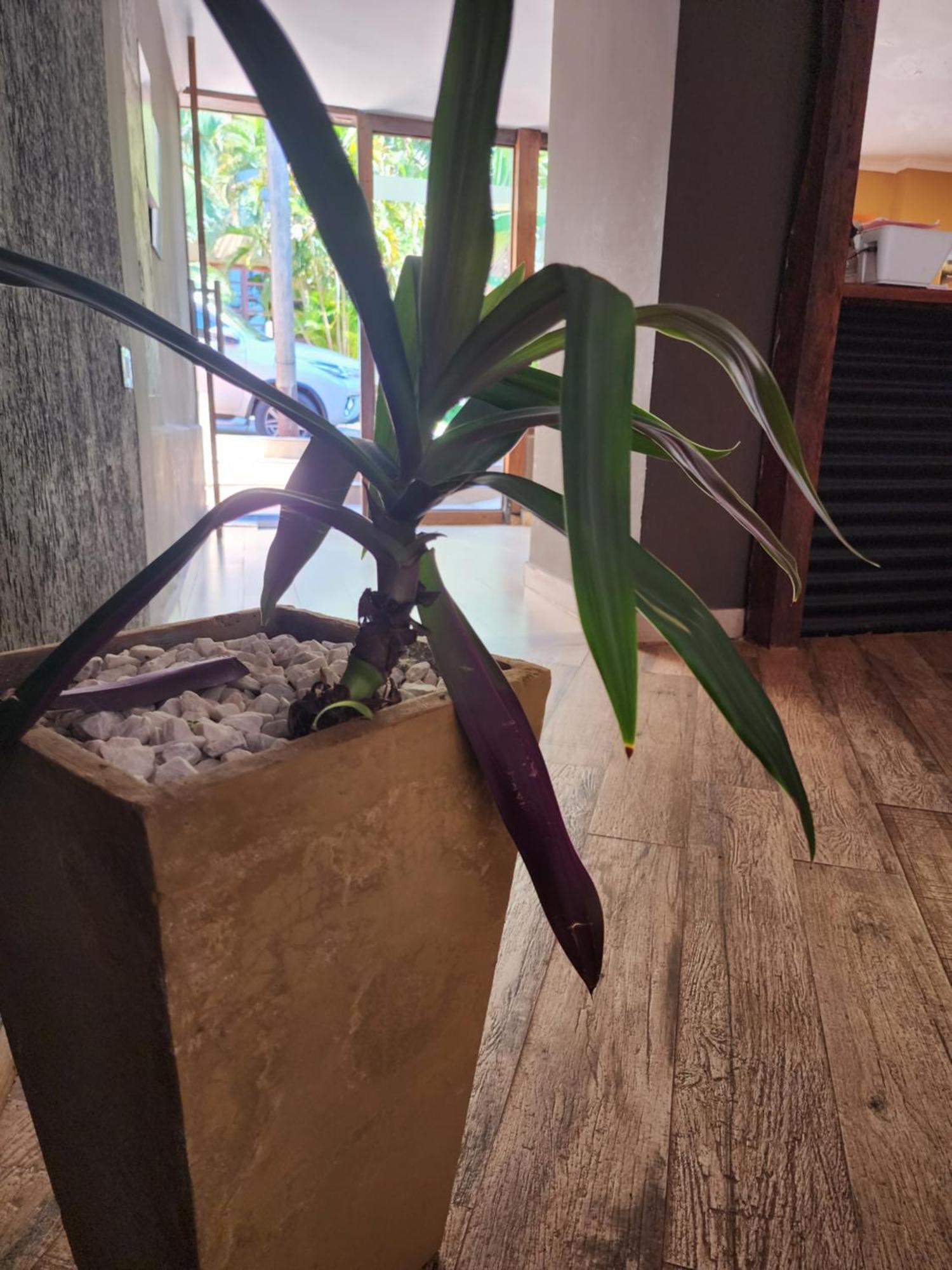 Hotel Bl Puerto Iguazú Zewnętrze zdjęcie